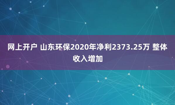网上开户 山东环保2020年净利2373.25万 整体收入增加