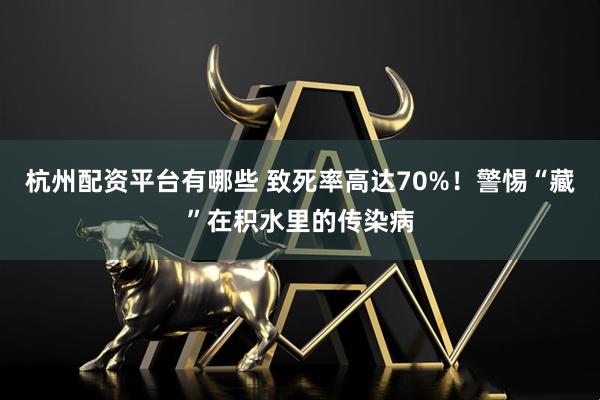 杭州配资平台有哪些 致死率高达70%！警惕“藏”在积水里的传染病